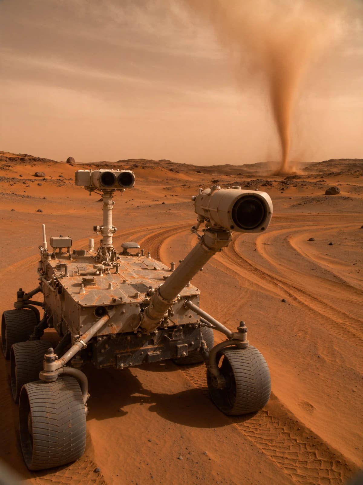 Rover Selfie in a Martian Dust Storm